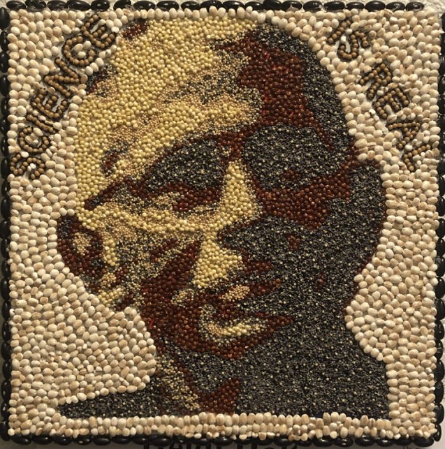 [Heidi Haltson Dr. Fauci image]